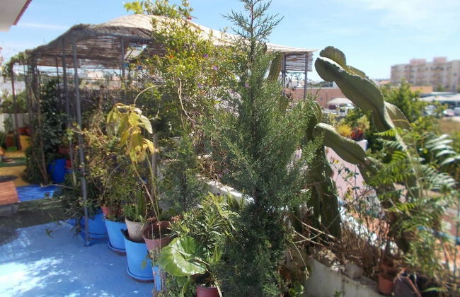 Room in Guest Room - Private Room on a Terrace With Garden - Photo 16