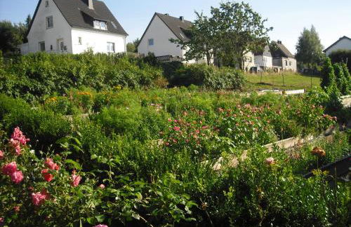 Willekes Blütenhof - Foto 36