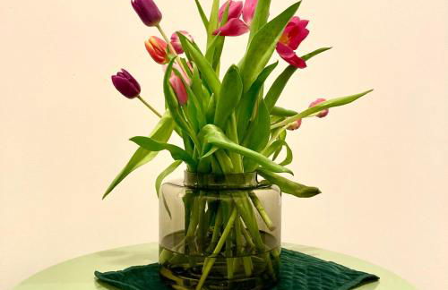 The Comfy Flat- Modern & Bright 2 Bedrooms Apartment - Foto 2