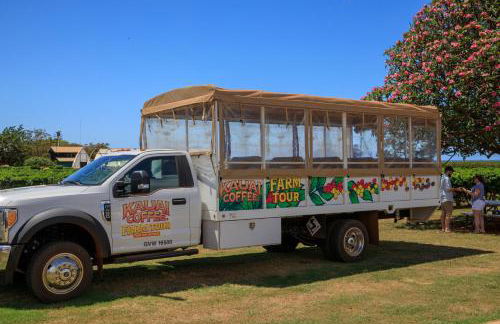 2 Bedroom Kapaa Condo with Pool and AC 115 - Foto 30