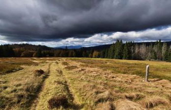 Ferienhaus Tonihof - Foto 60
