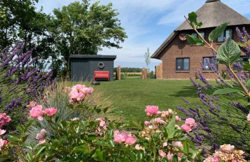 Appartements unter Reet - Foto 17