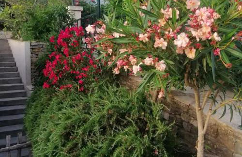 Three Bedroom Villa With Private Pool - Foto 33