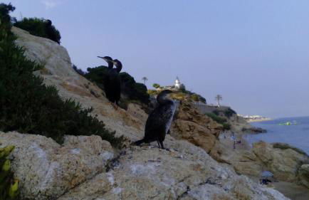 Apartment Oliver - Foto 36