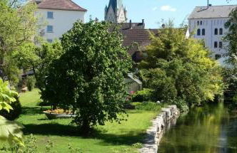 2Zi Apartment in Schloss Neuhaus mit Ladestation für Elektroautos - Foto 24