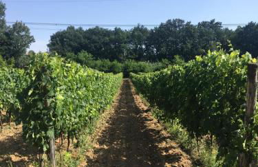 Agriturismo La Casina nel Vigneto - Foto 42