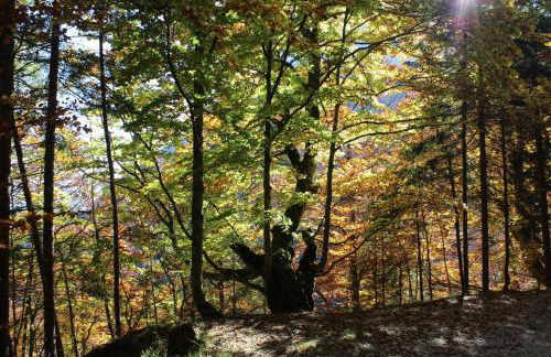 Apartment El Cor - Photo 54