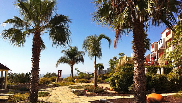 Finca Vistabonita - Foto 3