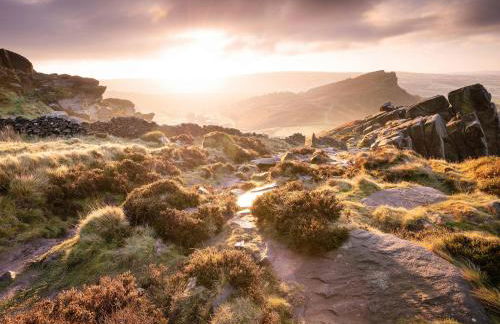 Silkwood House - Photo 12