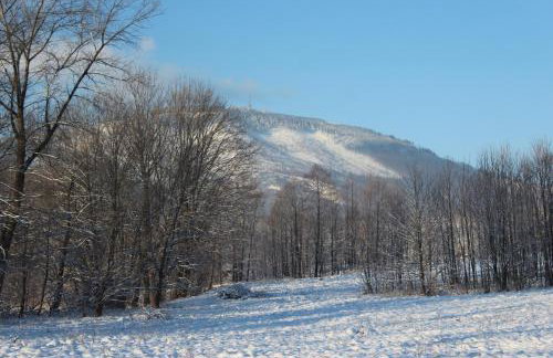 Domki Spokojny Zakątek z balią z jacuzzi - Foto 49