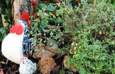 LIGURIA home - Foto 41