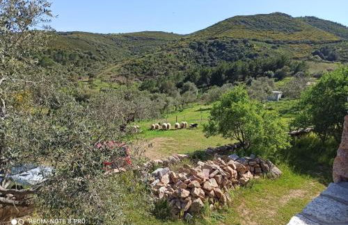 Appartamento immerso nel verde - Foto 31