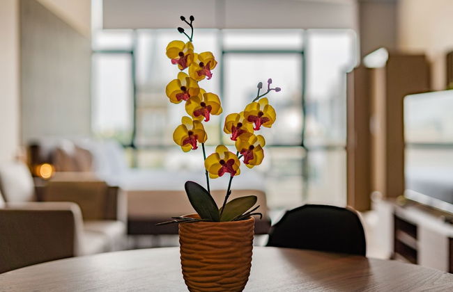 Roma Norte Apartments by VH - Foto 52