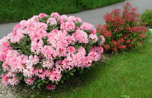 Ferienwohnung Bühler - Foto 2