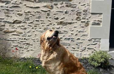 La grange d'Elise - Photo 8