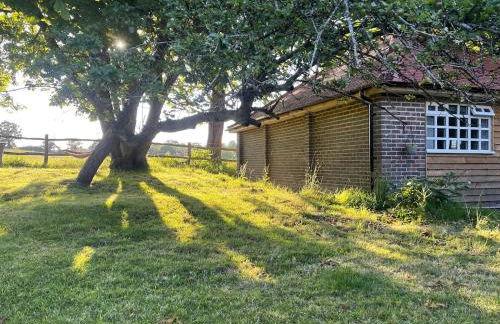 Motts Lodge - Photo 11