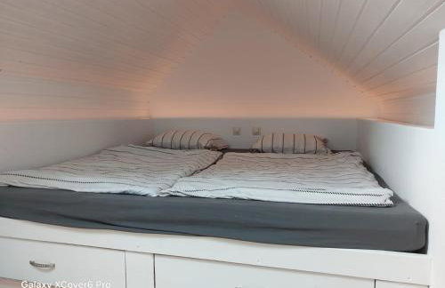 Dachgeflüster - Foto 23