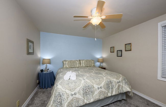 Dolphin Paradise - Photo 4