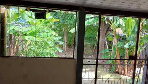 Festival de Parintins - Foto 3