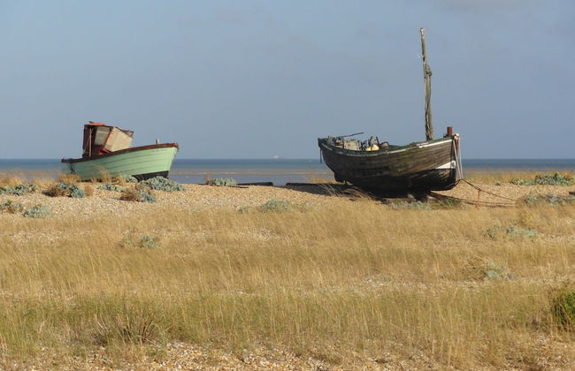 Cottage in Brookland With Private Sauna - Photo 37