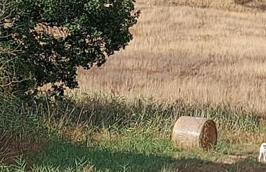 Molino della Tuoma - Foto 51