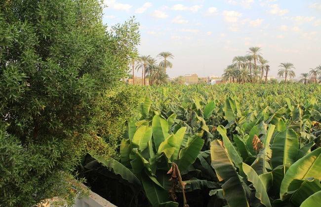 Adam Apartments - Foto 61