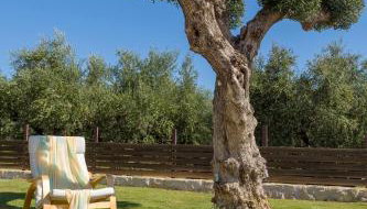 Evylio Stone Houses - Foto 3, Garden