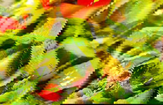 Infinity Wellness Apartment Hotel - Foto 76