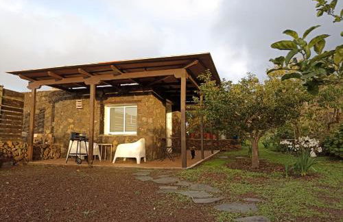 Dos Violetas - Foto 2