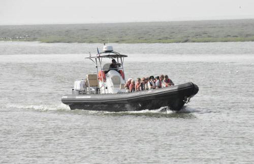 L'Olivier en Baie, T3 de standing avec jardin, vue baie, parking privé - Foto 60