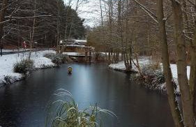 Hollicarrs - Wildflower Lodge - Photo 32