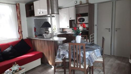 Mobil-home 3 pièces à Dolus-d'Oléron - Capacité 4 personnes - FR-1-246A-120 - Foto 4