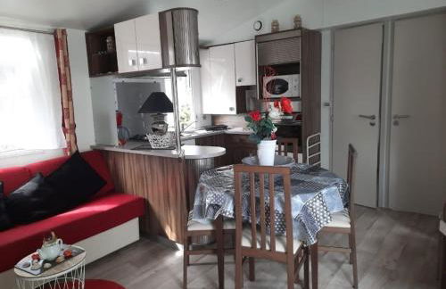 Mobil-home 3 pièces à Dolus-d'Oléron - Capacité 4 personnes - FR-1-246A-120 - Foto 4