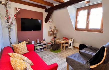 GITE LE COQ ROUGE - Foto 45