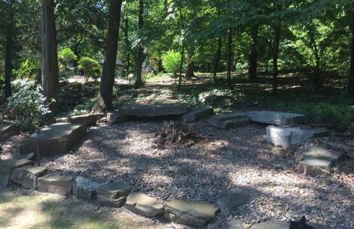 Paw Paw Tree Estate - Foto 4