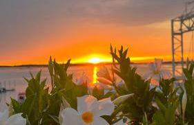 Twin Pine trees flats, near beach - Foto 17