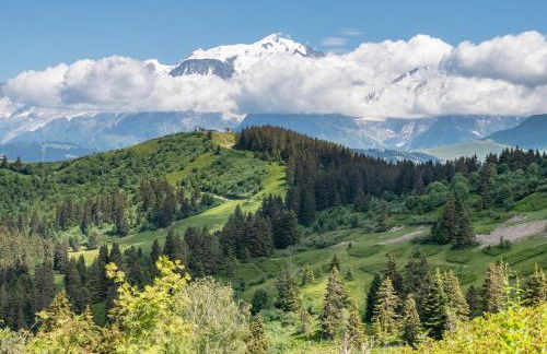 Les Saisies appart 1 chambre au pied des pistes - Foto 23