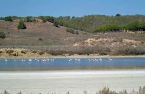 Casa de campo muy grande, con piscina y pistas - Foto 19
