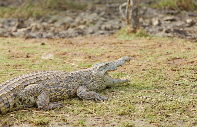 First Group Lake View Cabanas - Photo 60