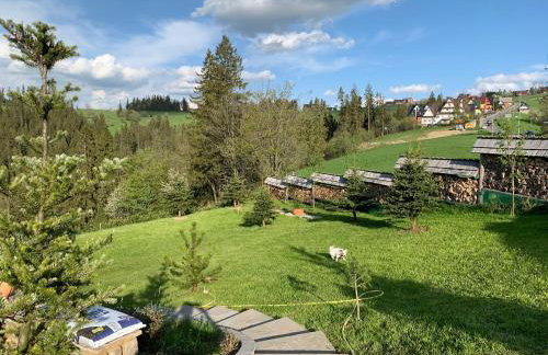 Apartament na Podhalu - WILLA TRZY OGONY - Photo 23