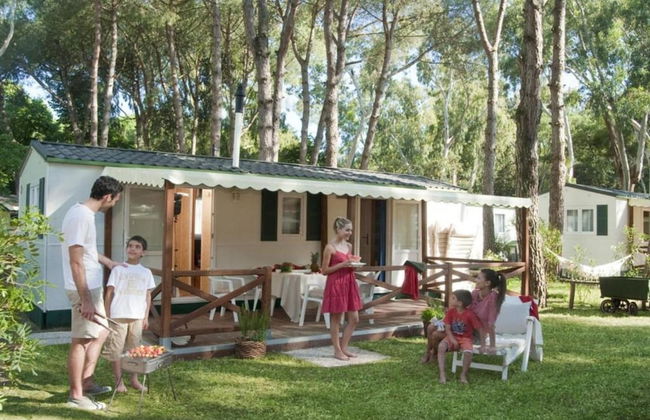 Peaceful Chalet Escape - Photo 12