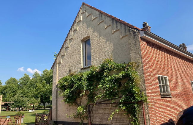 Apartment in Wortel Hoogstraten - Foto 31