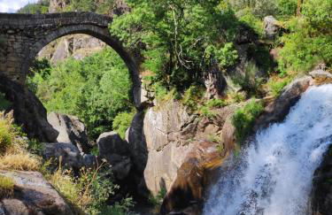 Canastro do Castanheiro - Foto 29