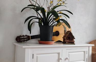 Gîte Le Marronnier, parking et terrasse au calme, entre Colmar-Riquewihr et Obernai, vue sur espaces verts et coteaux d Alsace, route du vin-châteaux - Foto 66