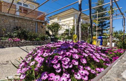 Apartman Gržetić - Foto 38