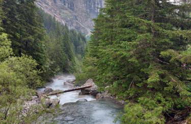 Chalet du Rabioux - Foto 12