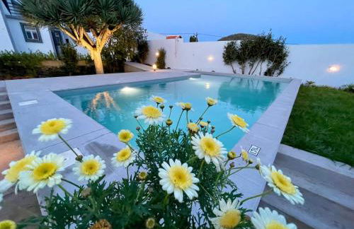 Casa Às Oito - Photo 22