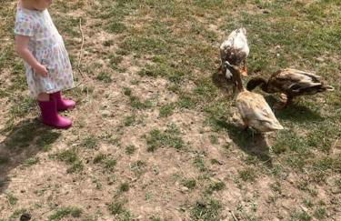 Ruby's Retreat! Farm Stay! North devon! Sleeps 6! Beaches Exmoor! - Foto 65