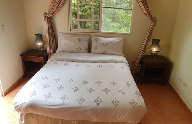 Claro de Luna - Foto 4