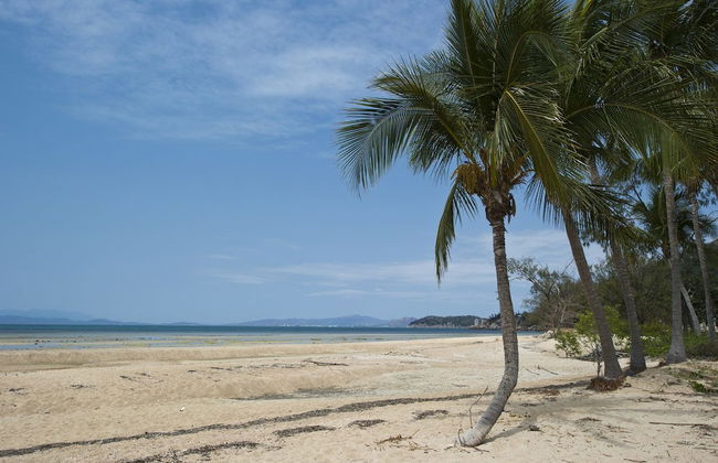 Beachcomber Unit 2 - Photo 12